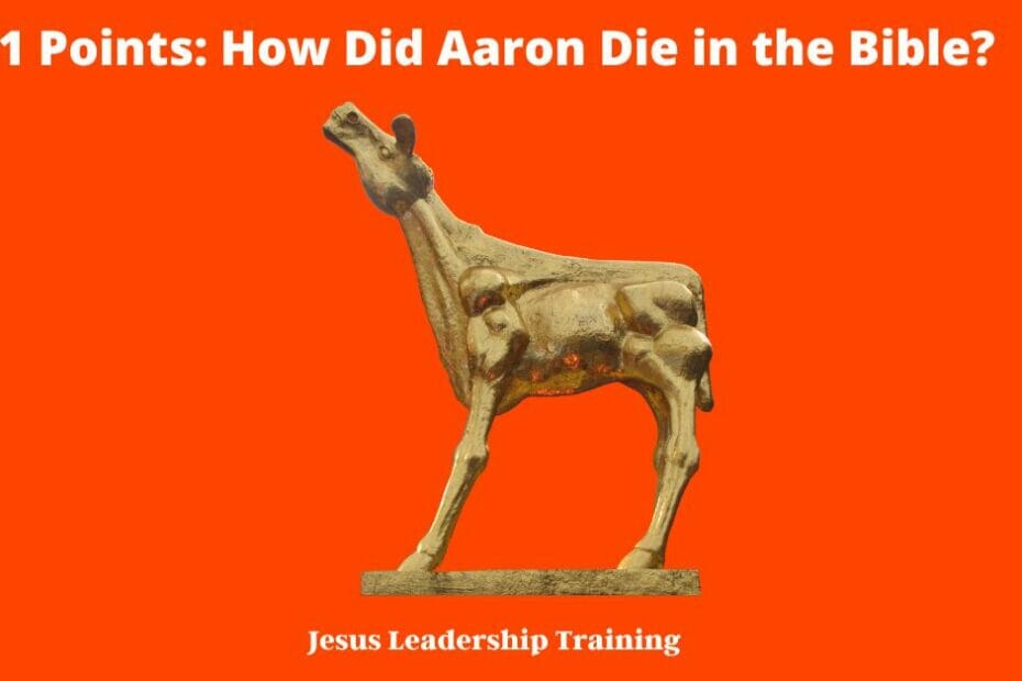 11 Points: How Did Aaron Die in the Bible?