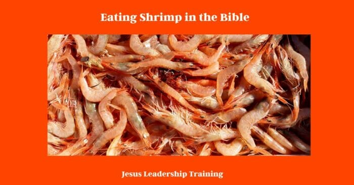 Eating Shrimp in the Bible
does the bible say not to eat shrimp