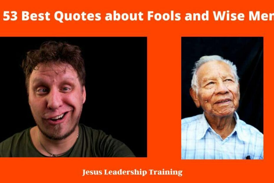 Quotes about Fools and Wise Men -