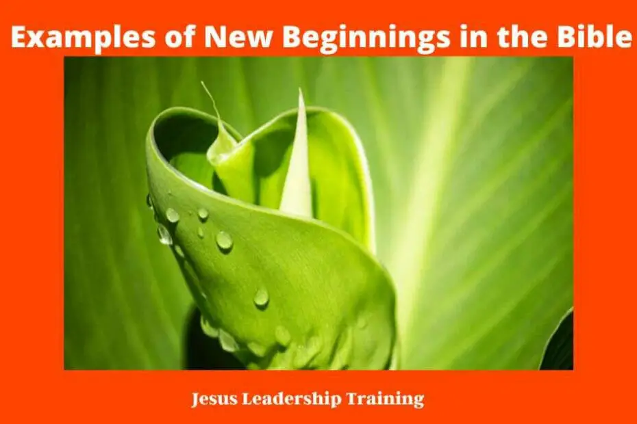 9 Examples of New Beginnings in the Bible -examples of new beginnings in the bible new beginning titles new beginnings examples new beginnings biblical new beginnings according to the bible