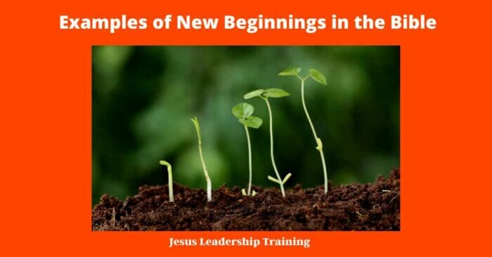 9 Examples of New Beginnings in the Bible - examples of new beginnings in the bible
new beginning titles
new beginnings examples
new beginnings biblical
new beginnings according to the bible