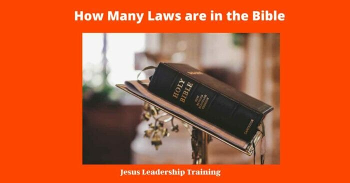 How Many Laws are in the Bible