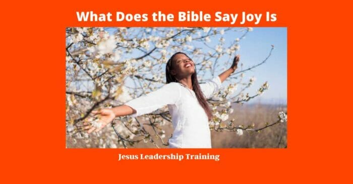 What Does the Bible Say Joy Is