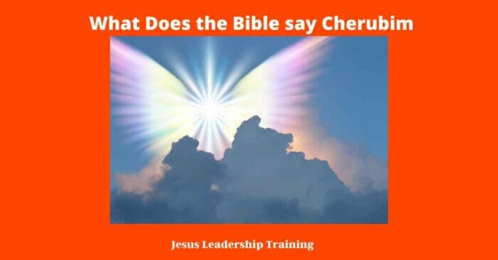 What Does the Bible say Cherubim look Like