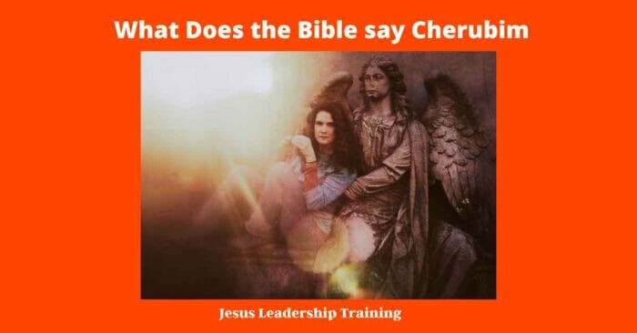 What Does the Bible say Cherubim look Like