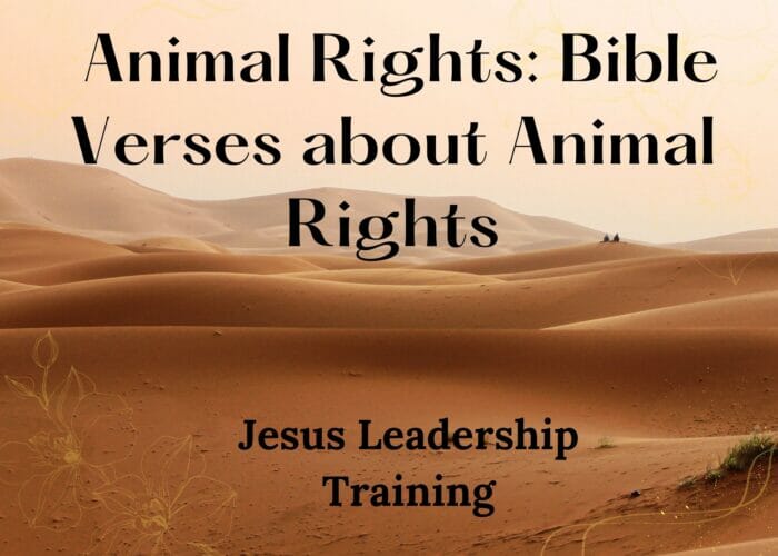 Animal Rights: Bible Verses about Animal Rights