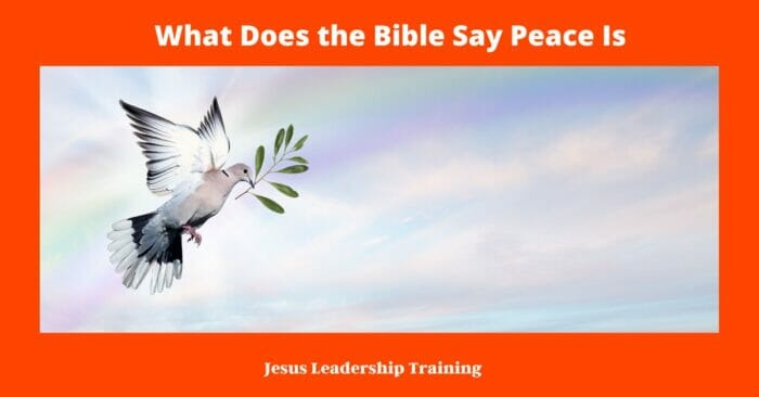 What Does the Bible Say Peace Is