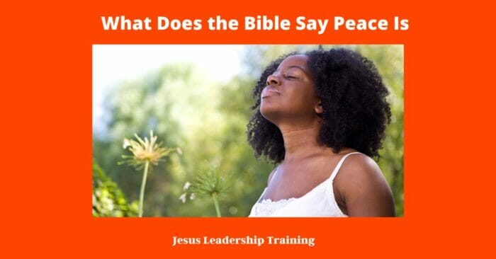What Does the Bible Say Peace Is