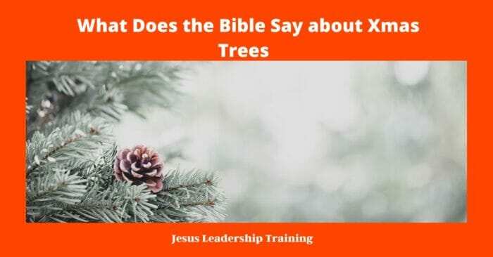 What Does the Bible Say about Xmas Trees