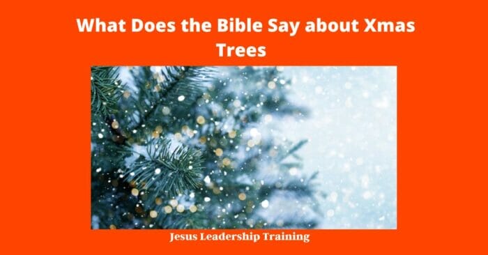 What Does the Bible Say about Xmas Trees