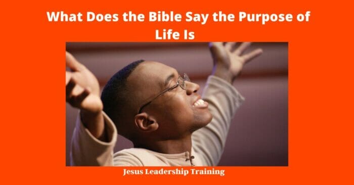 What Does the Bible Say the Purpose of Life Is