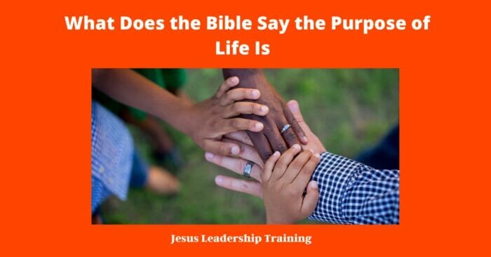What Does the Bible Say the Purpose of Life Is