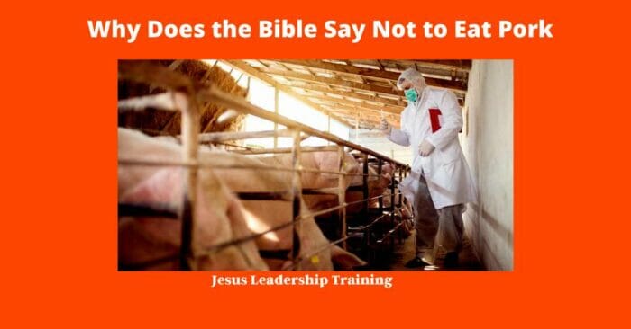 Why Does the Bible Say Not to Eat Pork