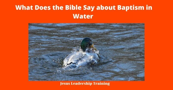 What Does the Bible Say about Baptism in Water