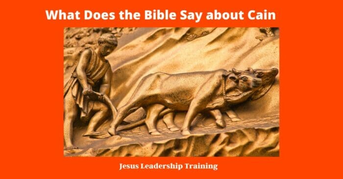 What Does the Bible Say about Cain