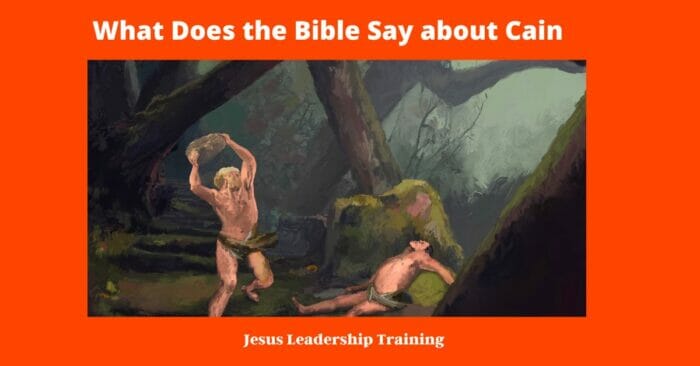 What Does the Bible Say about Cain