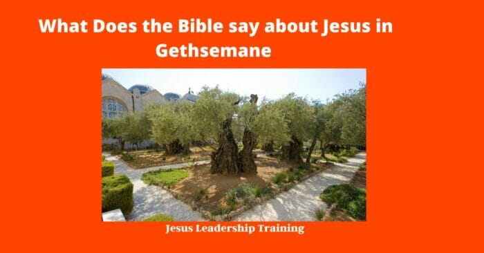 What Does the Bible say about Jesus in Gethsemane