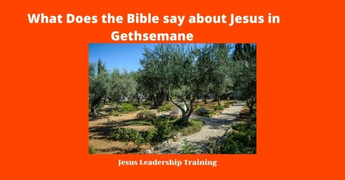 What Does the Bible say about Jesus in Gethsemane (
