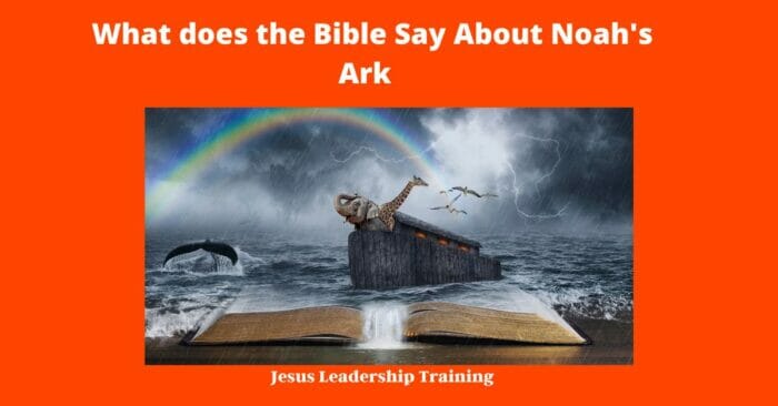 What does the Bible Say About Noah's Ark