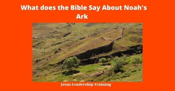 What does the Bible Say About Noah's Ark 