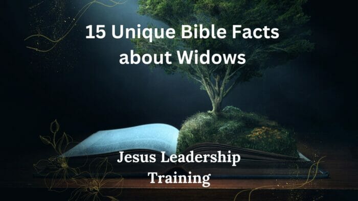 15 Unique Bible Facts about Widows