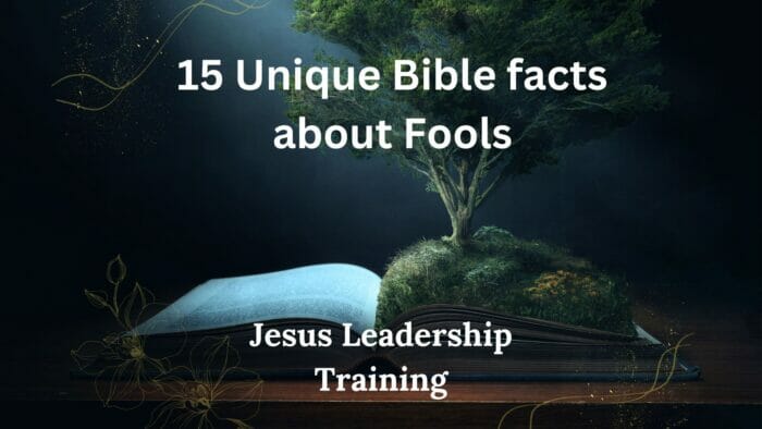 15 Unique Bible facts about Fools