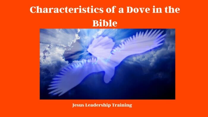 Characteristics of a Dove in the Bible