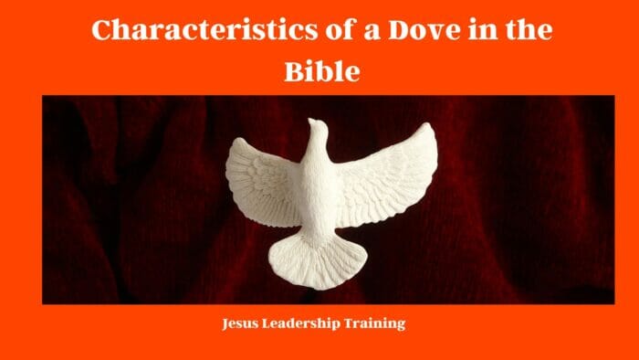 Characteristics of a Dove in the Bible