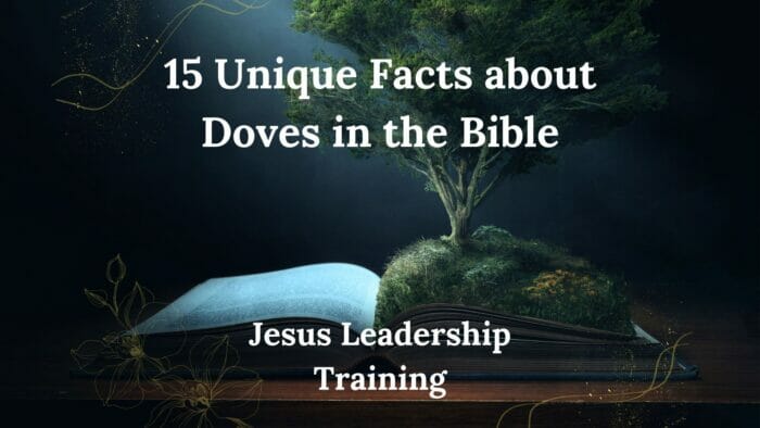 15 Unique Facts about Doves in the Bible
