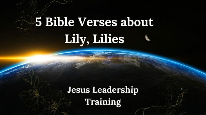 5 Bible Verses about Lily, Lilies