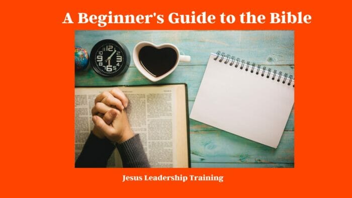 A Beginner's Guide to the Bible