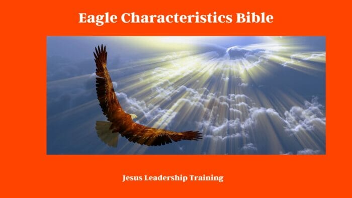 Eagle Characteristics Bible
Characteristics of an Eagle in the Bible