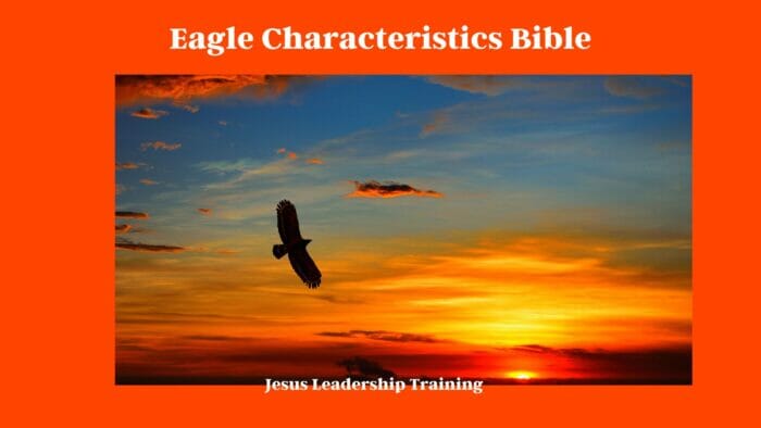 Eagle Characteristics Bible
Characteristics of an Eagle in the Bible