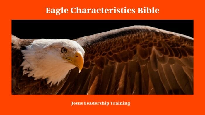 Eagle Characteristics Bible
