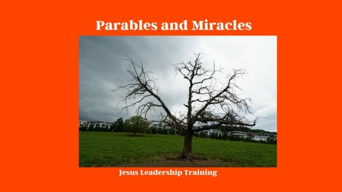 Parables and Miracles