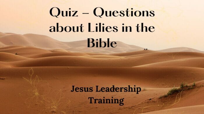 Quiz - Questions about Lilies in the Bible
