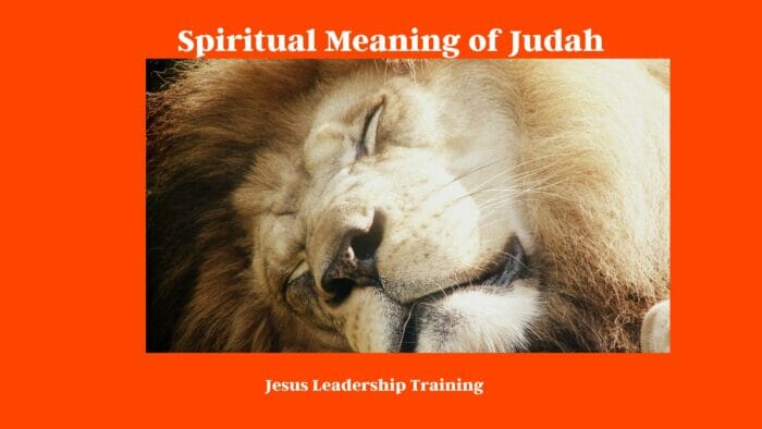 Spiritual Meaning of Judah