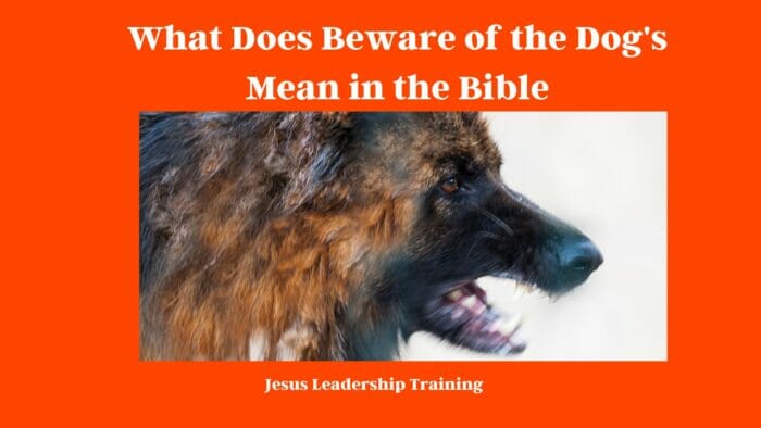 What Does Beware of the Dog's Mean in the Bible
