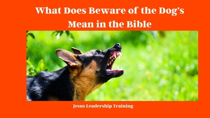 What Does Beware of the Dog's Mean in the Bible