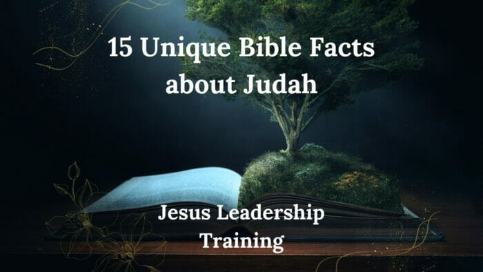 15 Unique Bible Facts about Judah