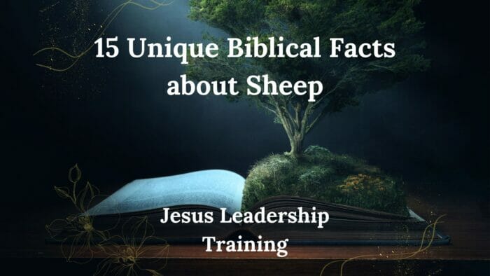 15 Unique Biblical Facts about Sheep