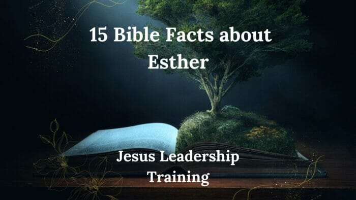Esther: 15 Bible Facts about Esther