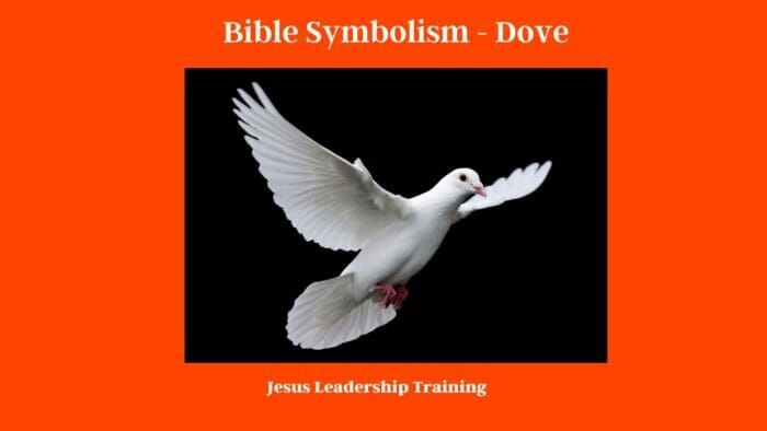 Bible Symbolism - Dove