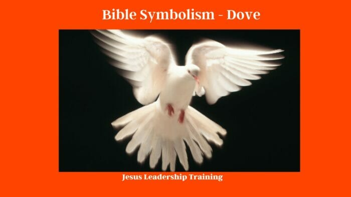 Bible Symbolism - Dove