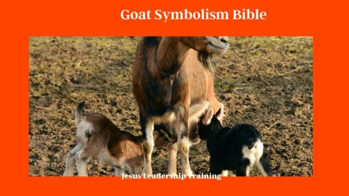 Goat Symbolism Bible