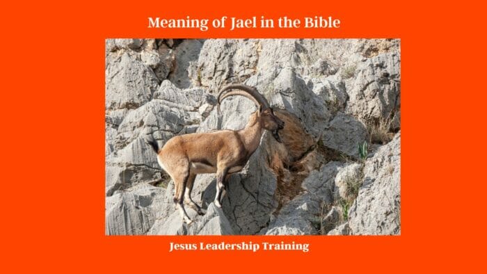 Meaning of Jael in the Bible