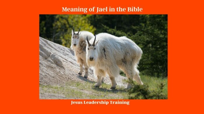 Meaning of Jael in the Bible