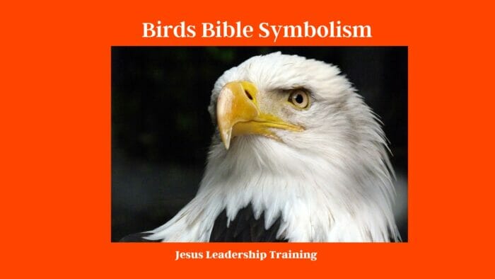 Birds Bible Symbolism
