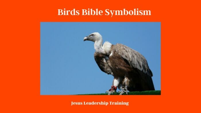 Birds Bible Symbolism 