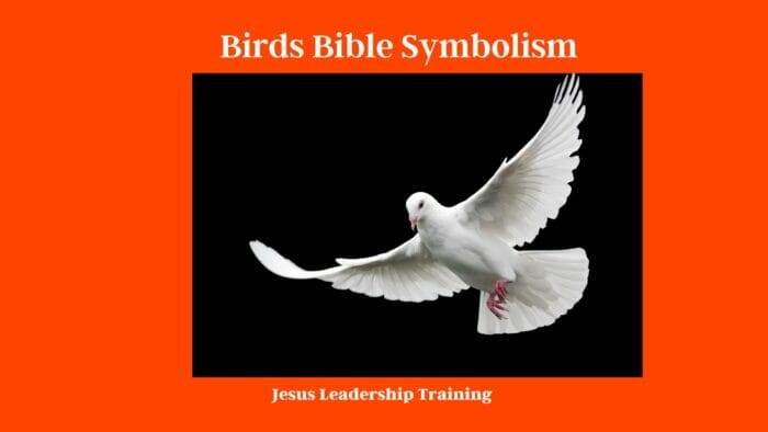 Birds Bible Symbolism 